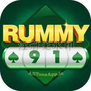 Rummy 91